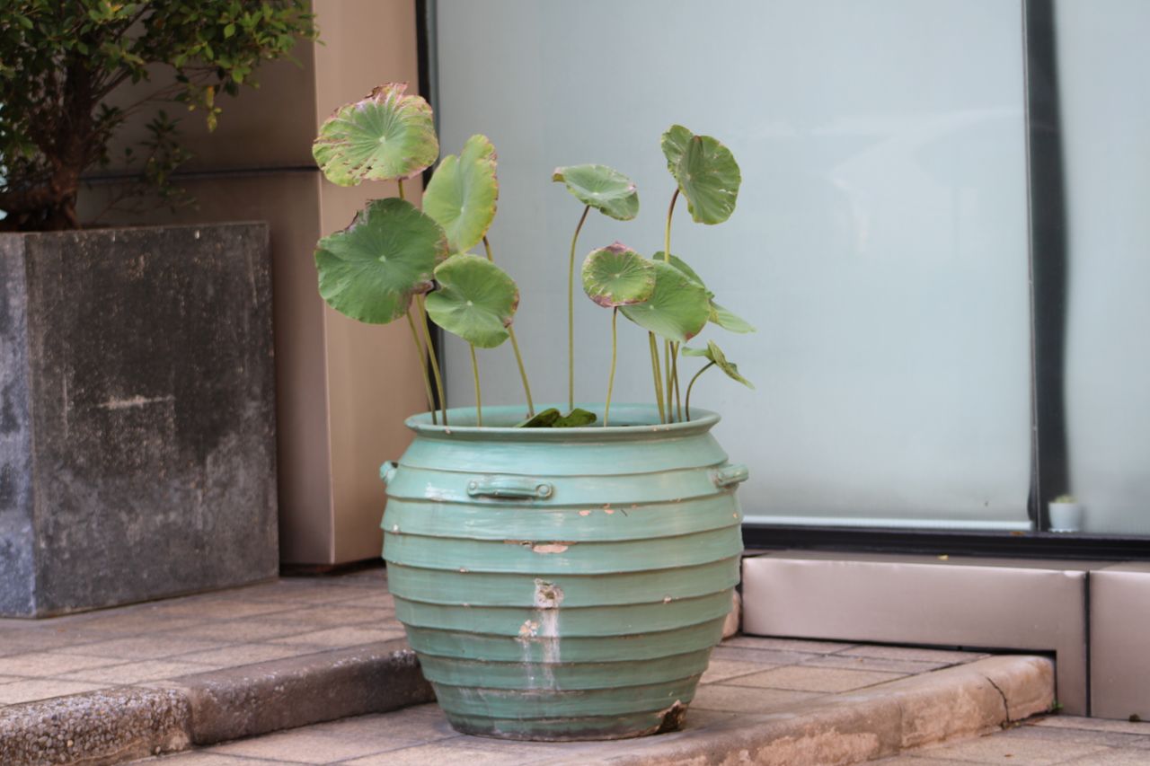 1002 1002